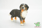 Preview: Schleich Berner Sennenhund 16339
